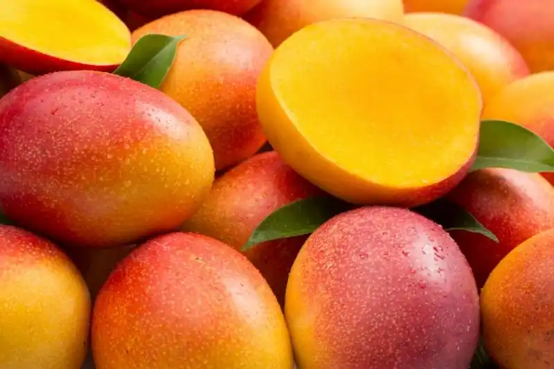 Peruvian mango producers expect production to increase in 2024/25 season