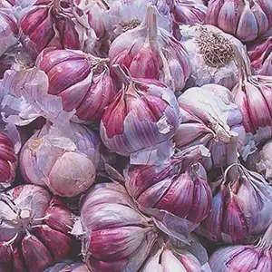 7-Grade Garlic Grading Machine