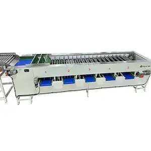 Adjustable Lemon Calibractor