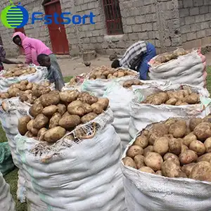 Adjustable Potato Grader That Can Be Customized For Nigerian Potatoes