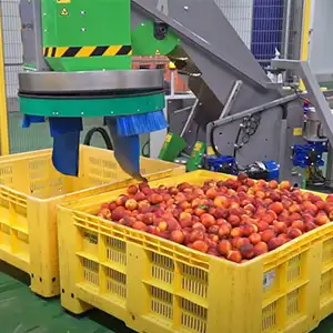 Advanced Pallet Bin Washing Machine:Revolutionizing Your Fruit &Vegetable Processing