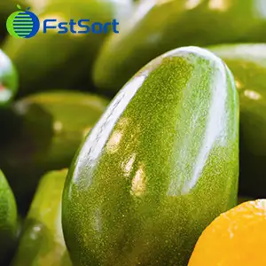 Aguacates de República Dominicana: exportación, variedades y clasificación