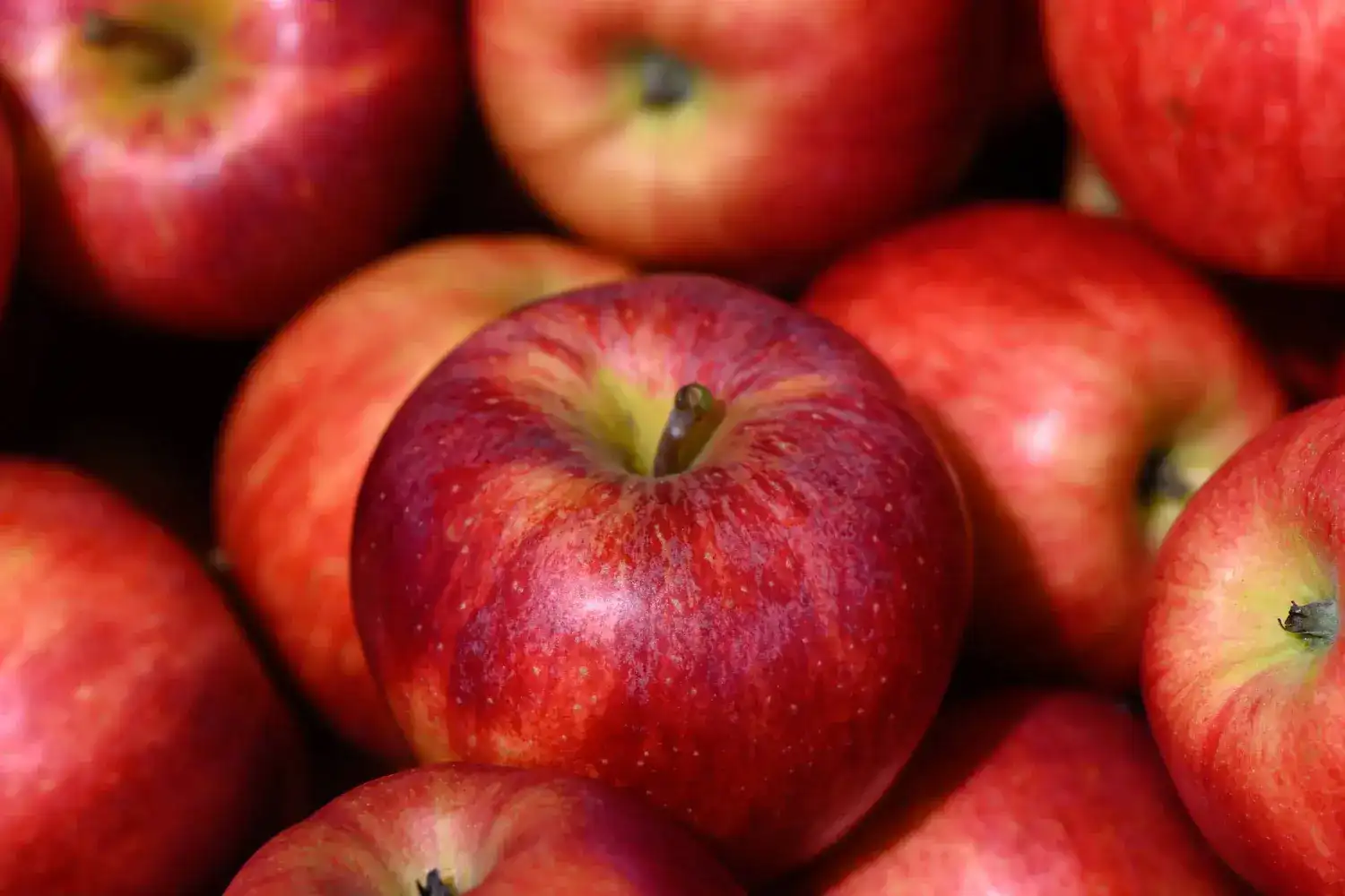 Apple Optical Machine