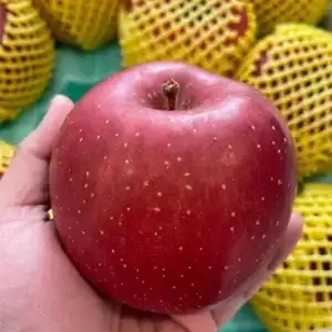 Apple Sorting Machines