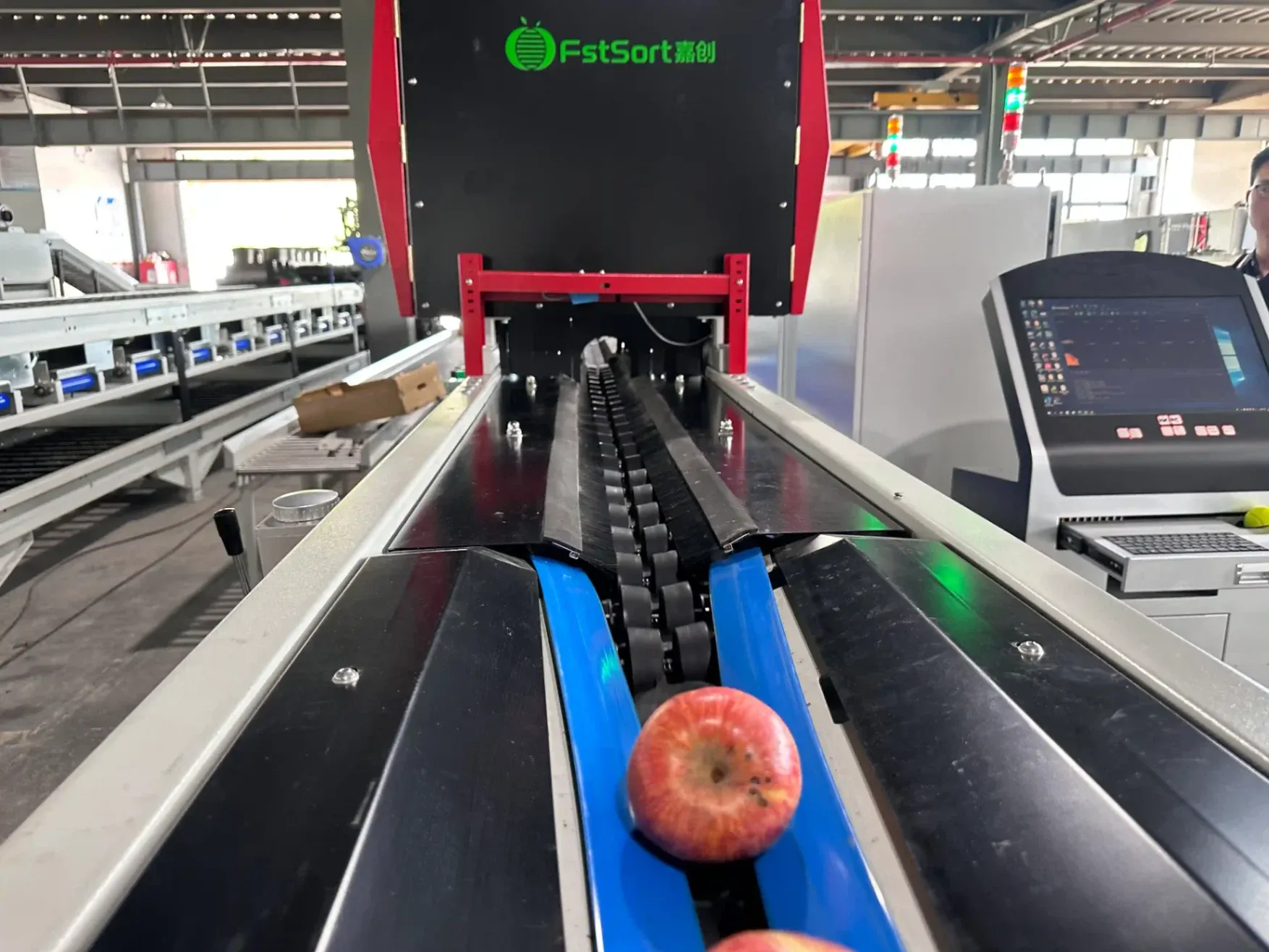 Apple sorting machines from fstsort