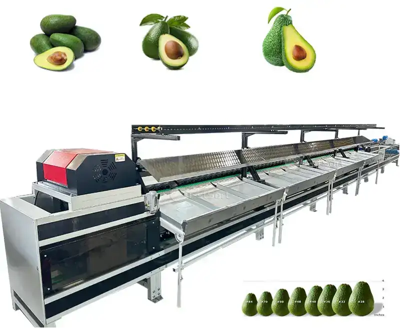 Avocado Grading Sorting Machines