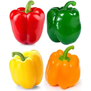 Bell pepper grading machine
