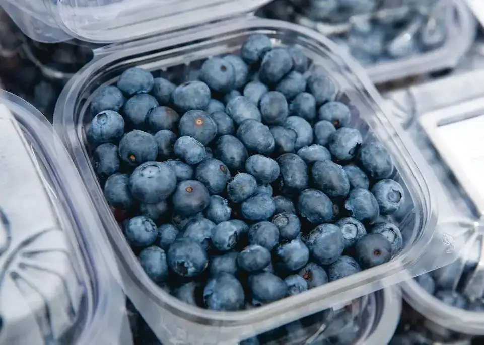 Blueberry sorting machine in Columbia
