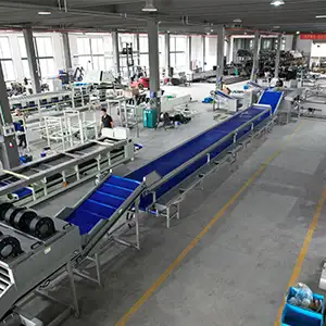 Broccoli Washing Drying and Grading Line