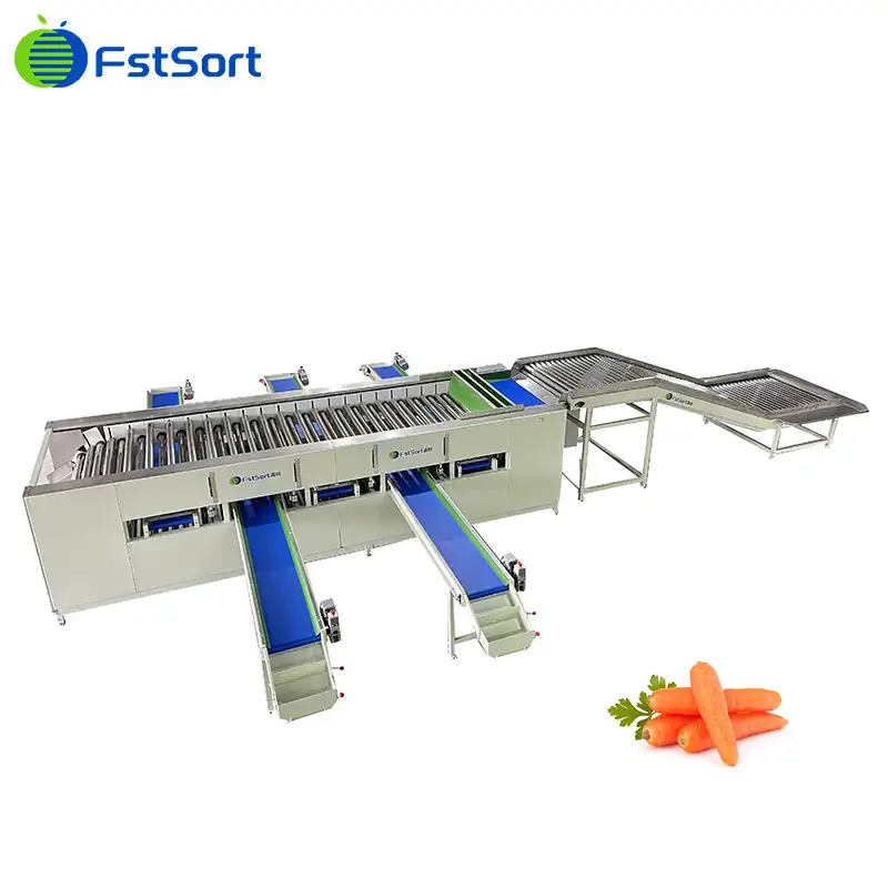 Carrot size sorting machine