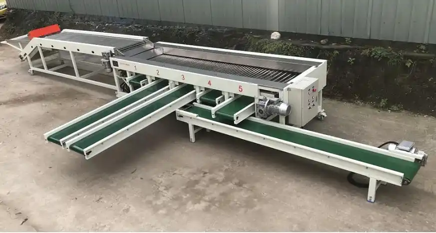 Cherry Tomato and lychee Grading Machine