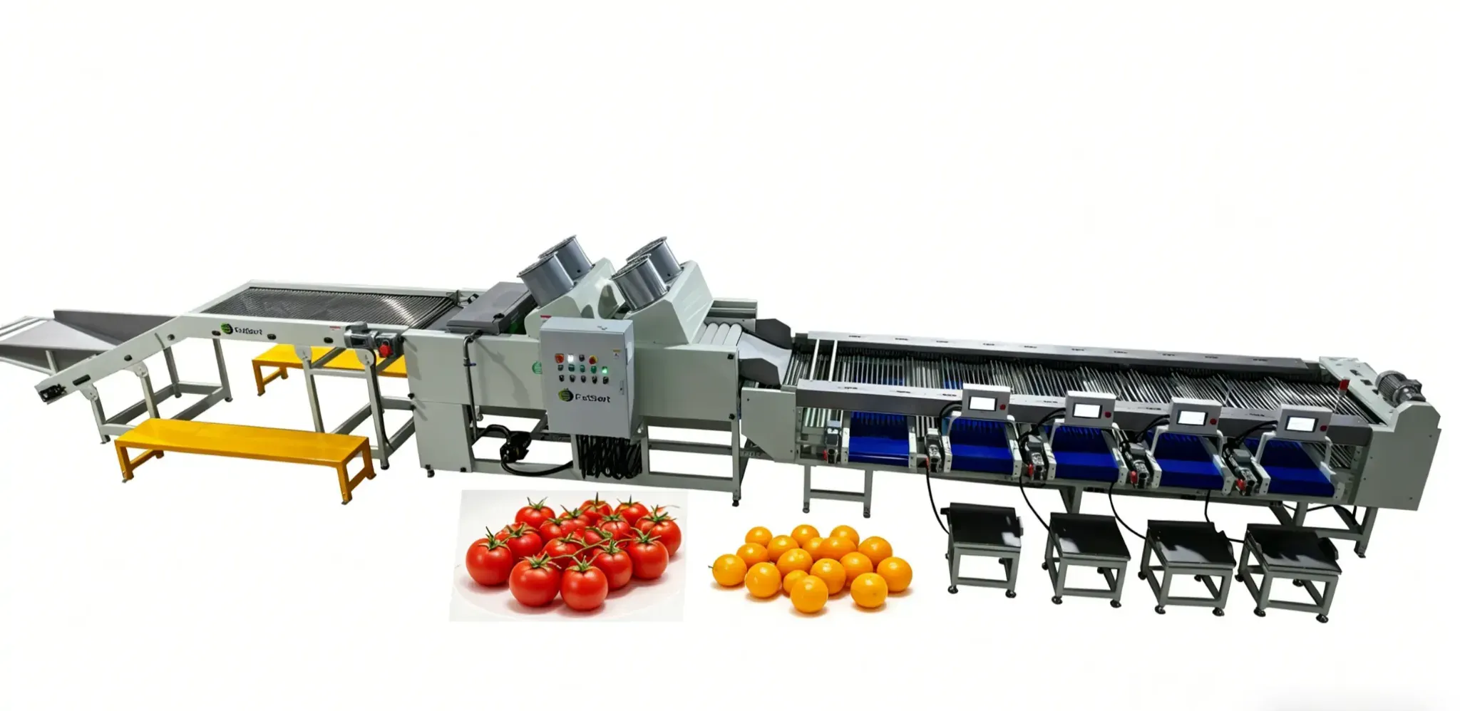 washing grading packing machine for cherry tomato and grape tomato