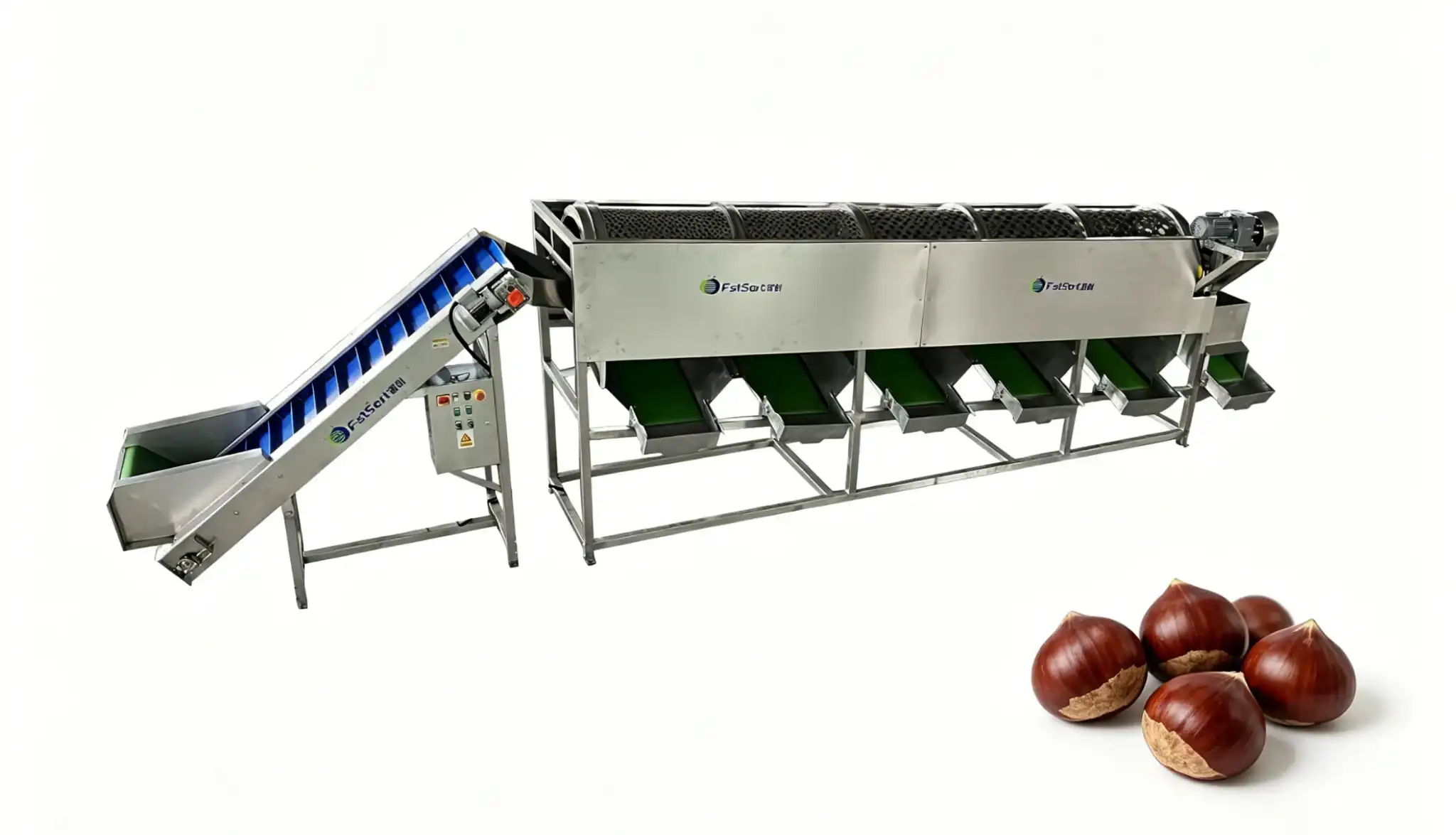 Chestnut sorter by diameter