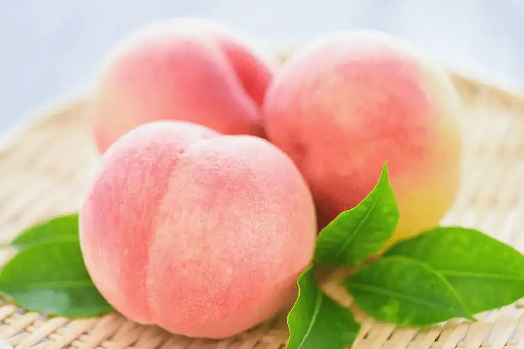 China Stone Fruit Especially Peaches