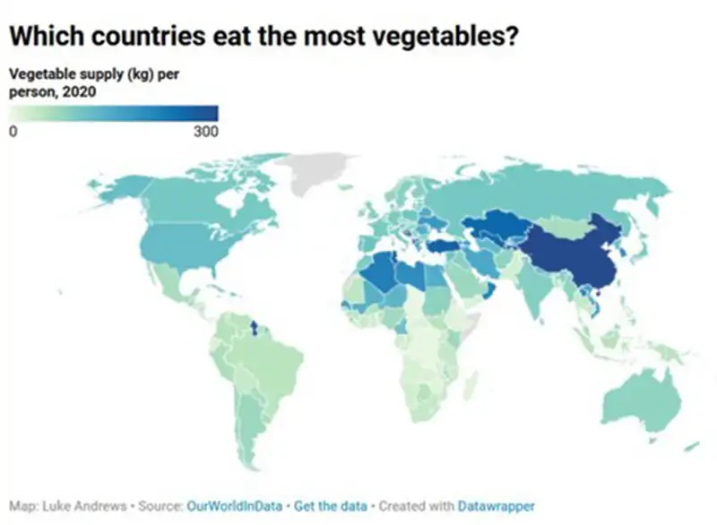 China vegetable consumption and processing equipment