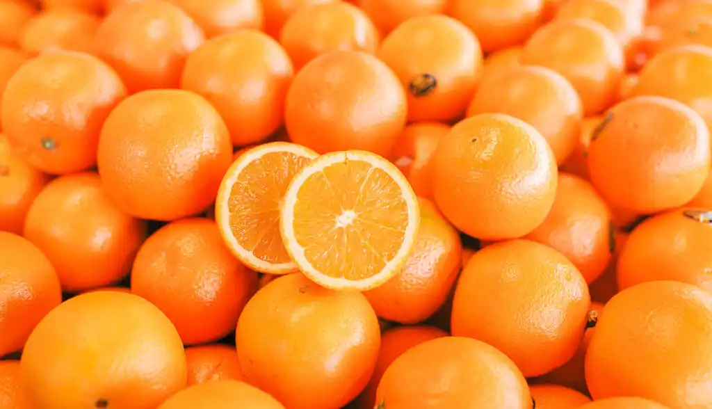 Citrus grading machine