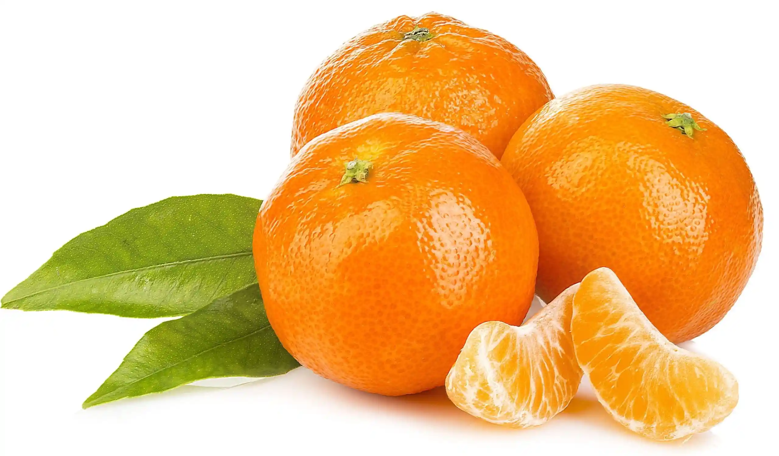 Citrus processing machine