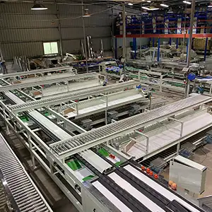 Clasificador electrónico grande por peso con dos líneas