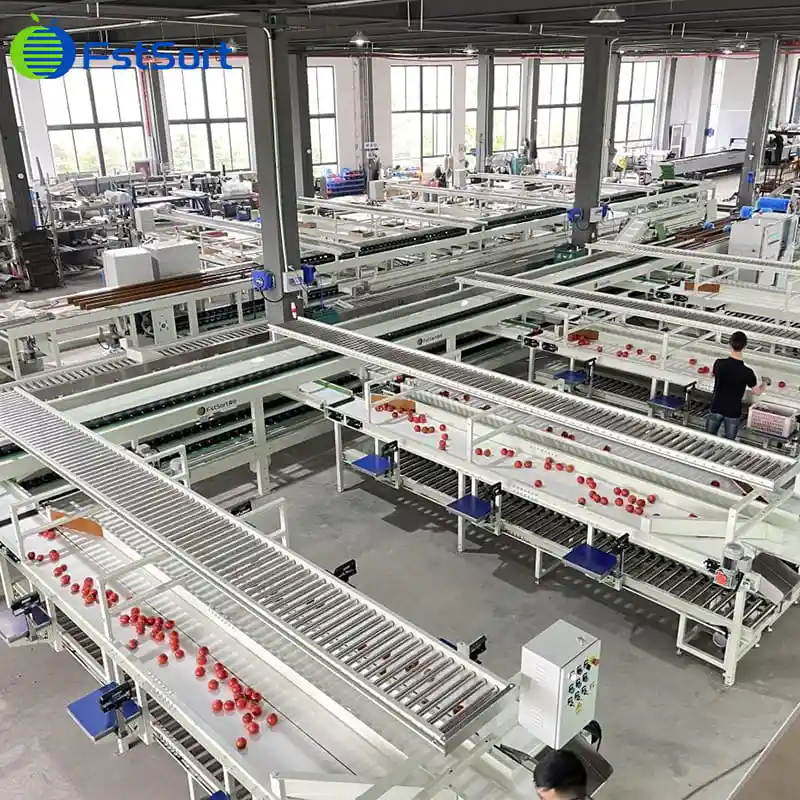 Clasificadora de pesaje electrónico de tomates