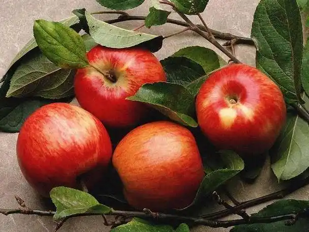 clasificadora óptica de manzana