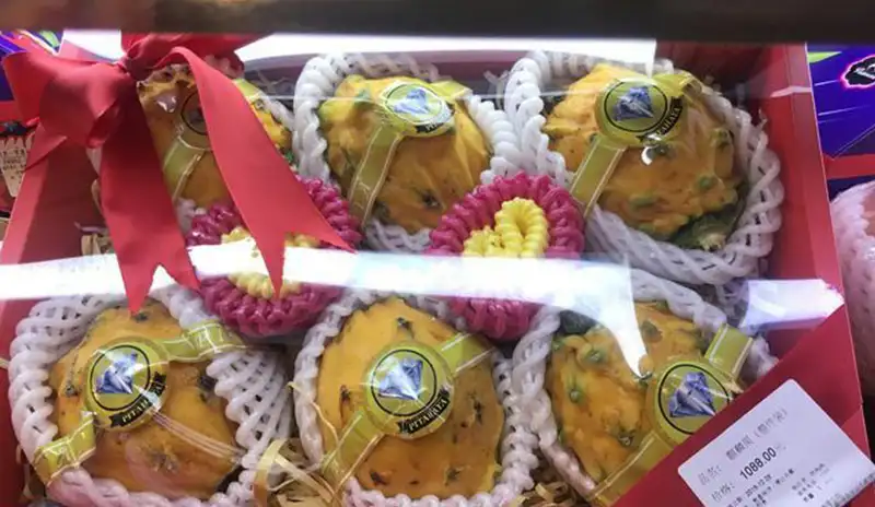 clasificadroa de pitaya
