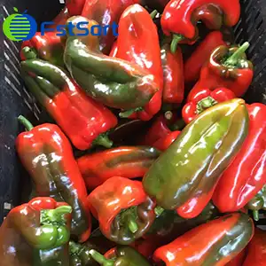 ¿Cómo clasificar los pimientos?
