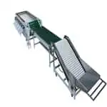 Congratulations on selling a fruit grader