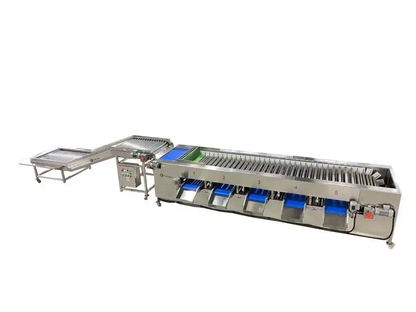 Crayfish sorting grading machine