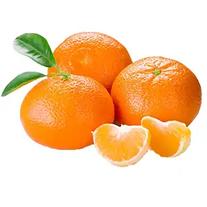 Cultivation conditions of mandarinĀ orange