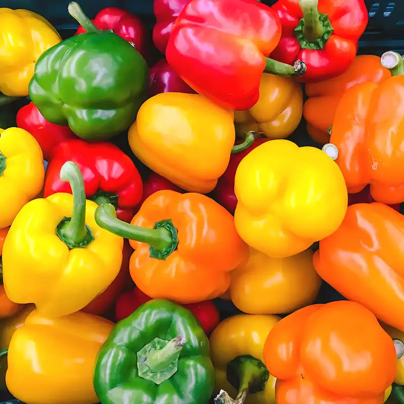 different types of sorting machines for pepper