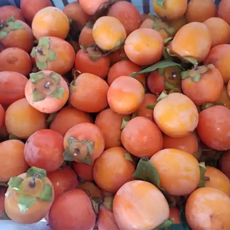 Domestic fire gourd persimmons are popular in Vietnam, and the price has doubled, but they are still in short supply