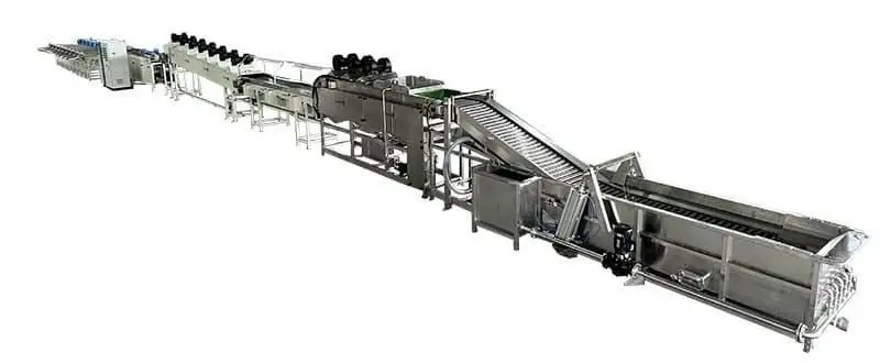 washing drying sorting line for Red Dragon Fruit and Yellow Pitahaya