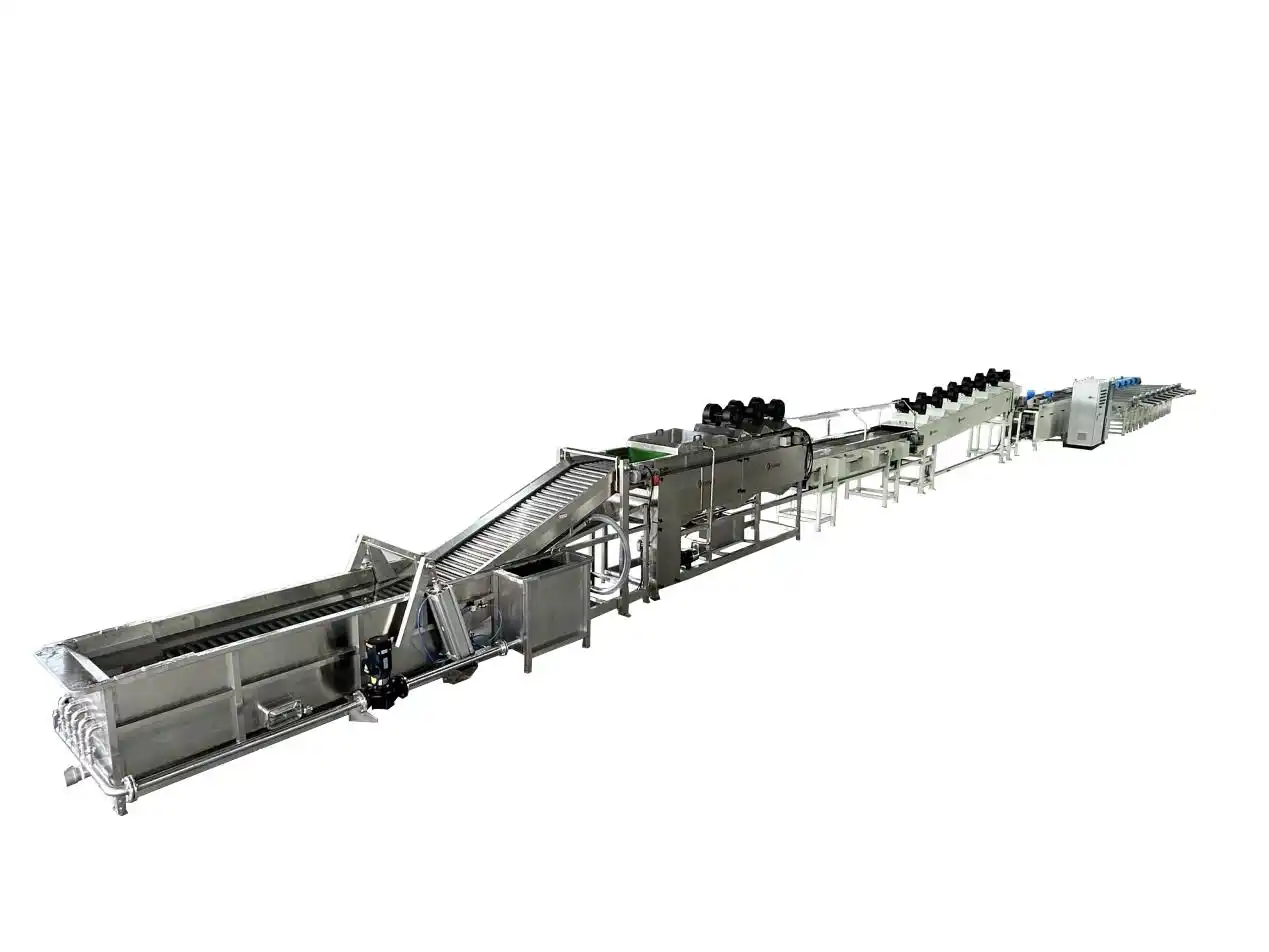 Dragon Fruit Washing Drying and Grading Line