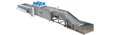 Eggplant cleaning sorting machine - Fruit Processing Line by FstSort