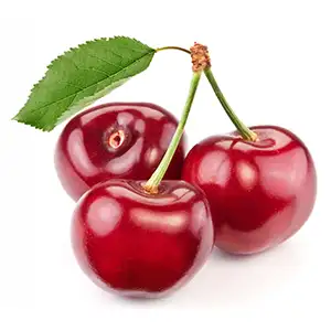 Ensure the safety of exported fruits