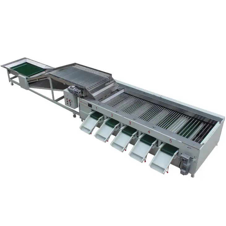 Exciting news Saudi customer come to our factory