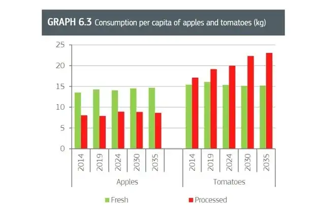 Fresh tomato area declines in Europe in 2035, while snack and processing tomatoes grow