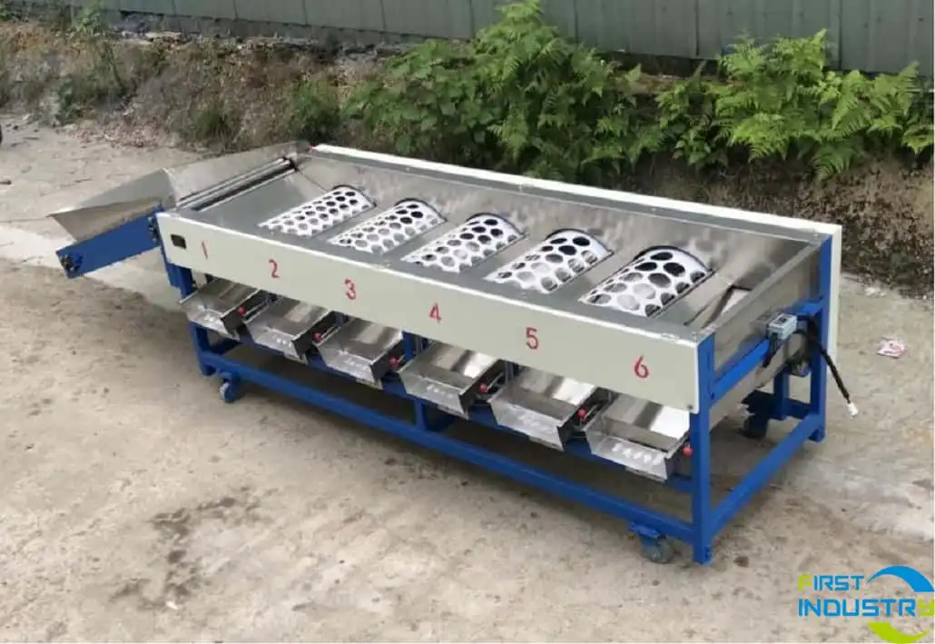 mandarin sizer. mandarin sizer.