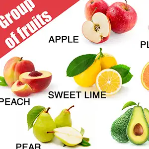 Fruit Sorter