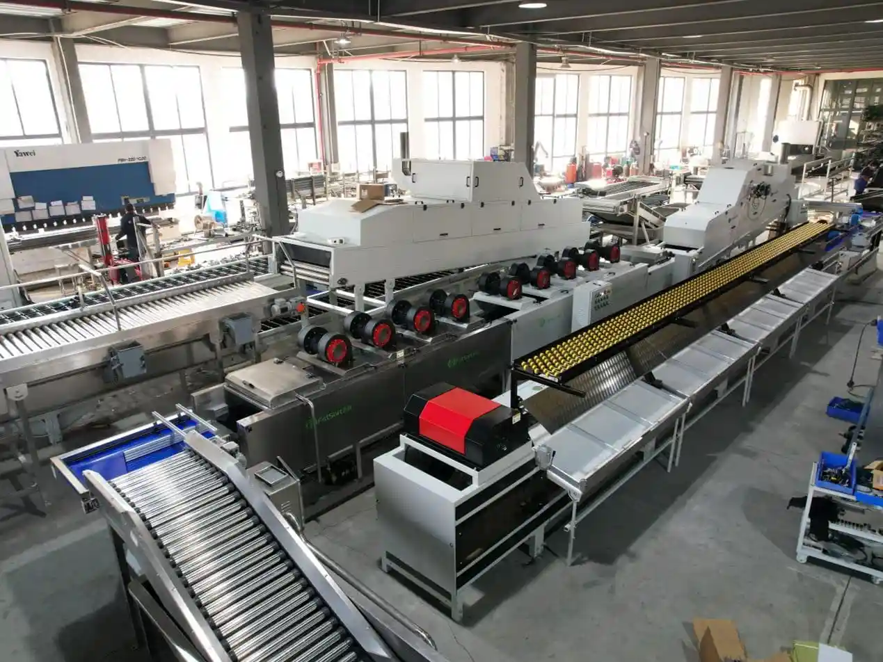 Fstsort Avocado Processing Line