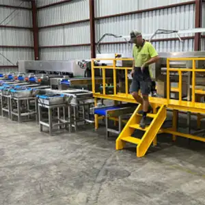 Fstsort customized jujube grading packing line installed in Australia