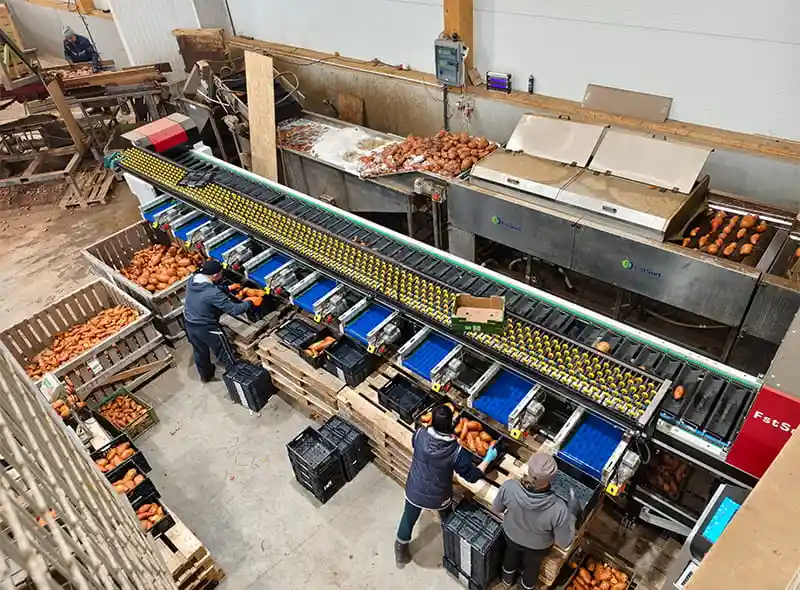 Fstsort Explores European Farming Practices and Advances AI Integration in Agricultural Machinery