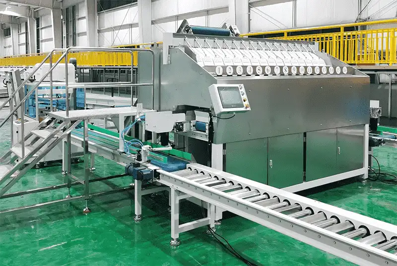 FstSort Fruits Packing Machine