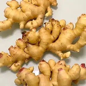 FstSort Ginger Washing Machine: Efficient Cleaning, the Choice for Quality