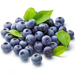 Fstsort introduces a cost-effective roller grading machine, enabling Zimbabwean blueberry growers to perform accurate blueberry grading.