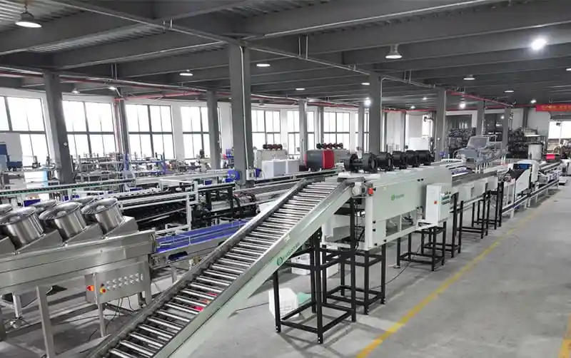 FstSort Launches Advanced Coconut Weight Sorting Machine in Ivory Coast Boosting Agricultural Efficiency