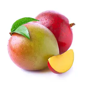 Fstsort Launches Advanced Sanitation & Grading Line to Elevate Peru's Mango Exports