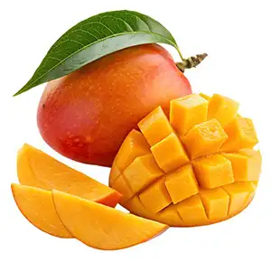 FstSort Mango Processing Line Exported to Senegal, Aiding in Upgrading African Fruit and Vegetable Processing