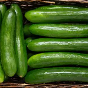 FstSort Optical Grader: Your Cucumbers’ Best Friend!