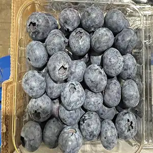 Fstsort Seeks Local Insight to Tailor Blueberry Packaging Solutions for Peruvian Industry